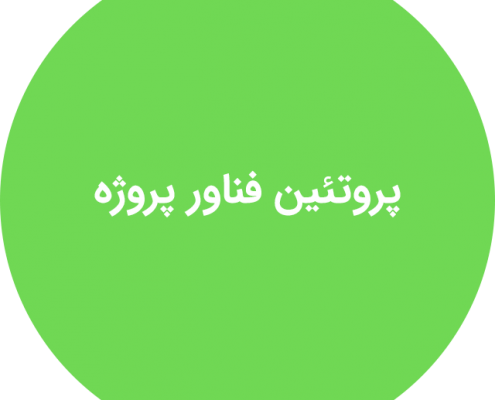 پروتئین فناور پروژه