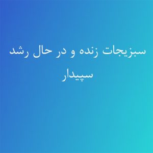 سبزیجات زنده و در حال رشد سپیدار