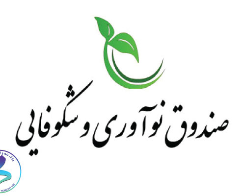 تسهیلات تأمین محل کار شرکت‌های دانش بنیان توسط صندوق نوآوری و شکوفایی