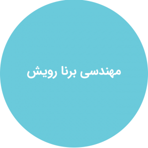 مهندسی برنا رویش