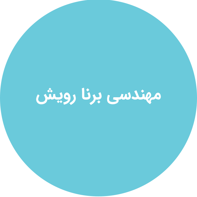 مهندسی برنا رویش