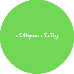 رباتیک سنجاقک