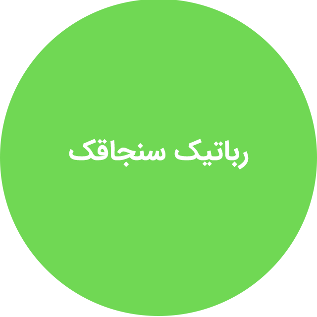 رباتیک سنجاقک